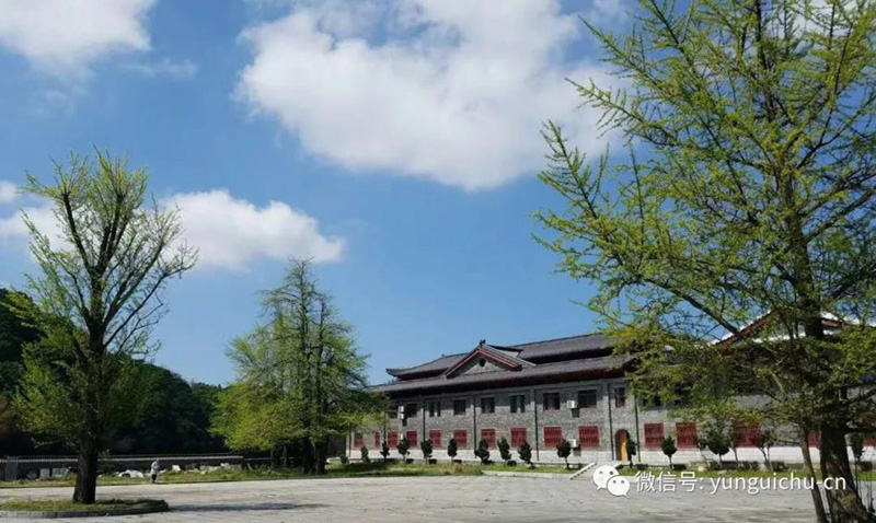一毫端上通消息 遍界明明不覆藏——天上云居真如禅寺大众普坡采茶 一毫端上通消息 遍界明明不覆藏——天上云居真如禅寺大众普坡采茶