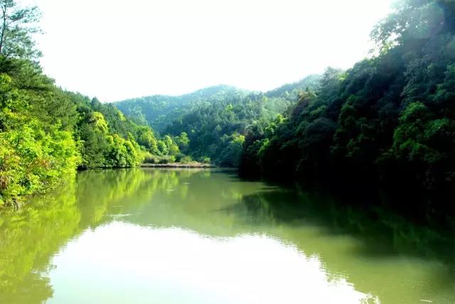 云居山真如禅寺下院庆云禅寺“五一”居士禅修班招生通启 云居山真如禅寺下院庆云禅寺“五一”居士禅修班招生通启
