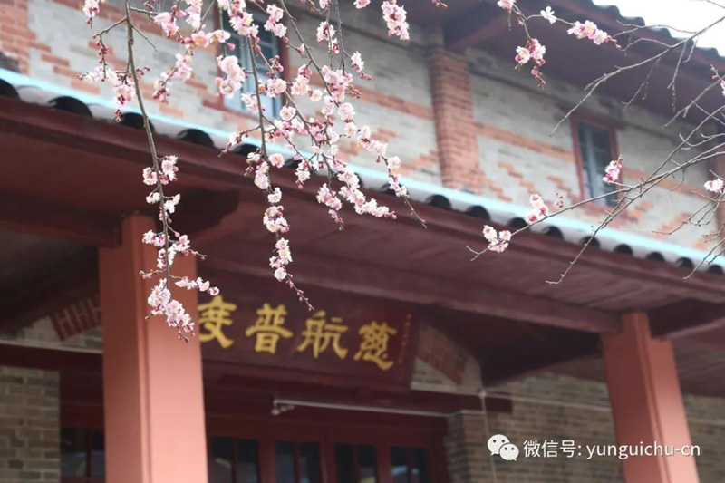 法轮常转不舍精进 万象更迭共贺新春——天上云居隆庆己亥新年 法轮常转不舍精进 万象更迭共贺新春——天上云居隆庆己亥新年