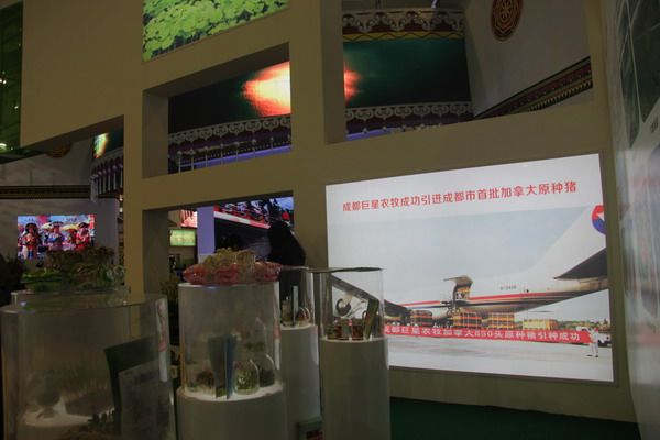 巨星农牧参展西博览显风采 巨星农牧参展西博览显风采