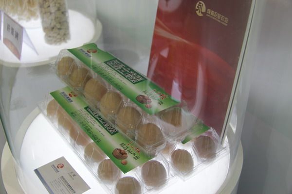 巨星农牧参展西博览显风采 巨星农牧参展西博览显风采