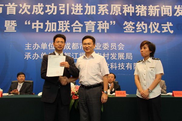 政府高度评价 媒体强烈关注——巨星农牧“850头原种猪引种成功”新闻发布会举办 政府高度评价 媒体强烈关注——巨星农牧“850头原种猪引种成功”新闻发布会举办