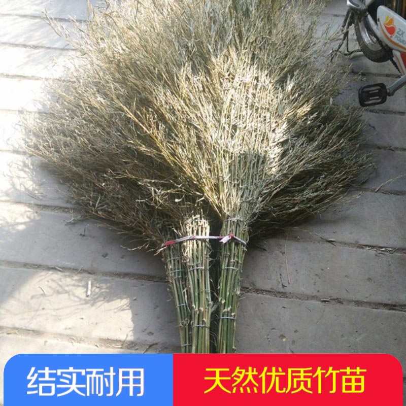 大竹扫帚/竹扫把