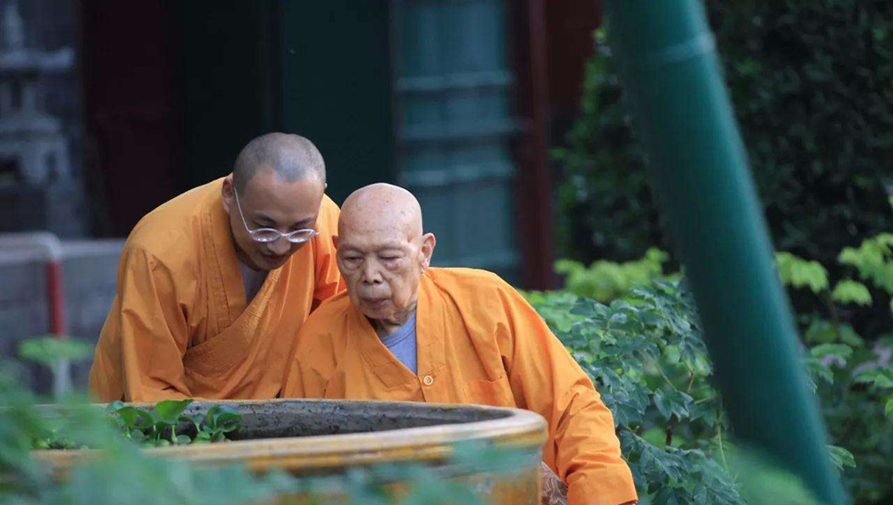 一诚长老 一诚长老