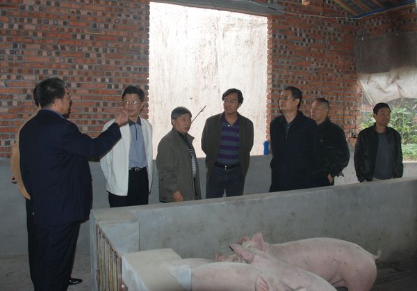 农业部、全国工商联领导调研考察集团“四统二保”养猪模式