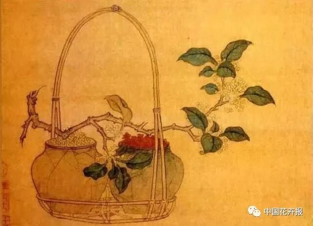 秋日插花 枫、桂、菊各有古意 