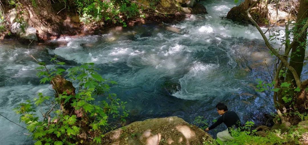 在死海寻活水（上）：以色列农业里的生态性