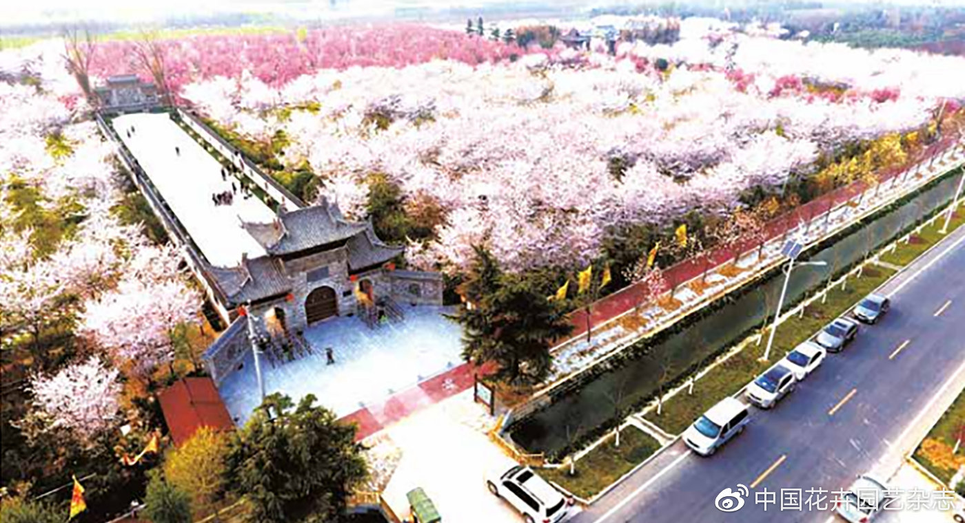 第十九届中原花博会开幕在即：中国绿色发展的“鄢陵力量” | 动态