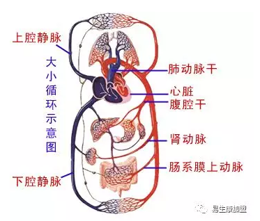 为什说经络阻塞是万病之源呢 .txt 为什说经络阻塞是万病之源呢 .txt