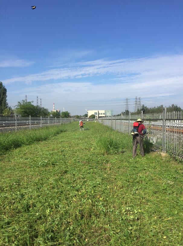 中商企服承接天津地鐵除草服務