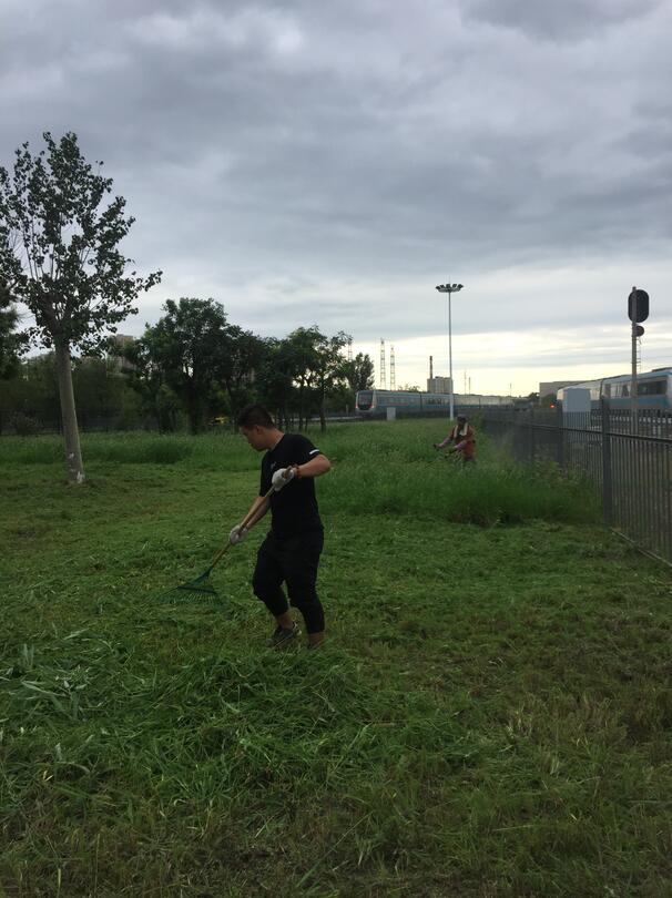 中商企服承接天津地鐵除草服務