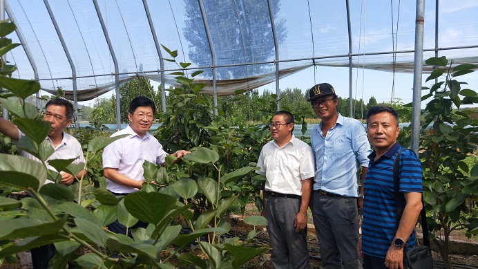 省蚕桑创新团队福山科研示范基地揭牌 省蚕桑创新团队福山科研示范基地揭牌