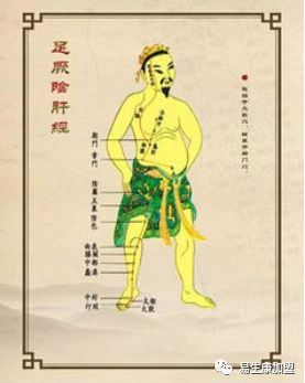 经络学说:肝经 经络学说:肝经