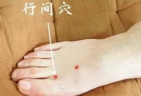 经络学说:肝经 经络学说:肝经
