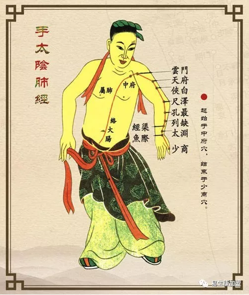 经络学说:肺经 经络学说:肺经