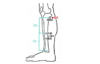 经络学说:肝经 经络学说:肝经