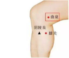 经络学说:肝经 经络学说:肝经