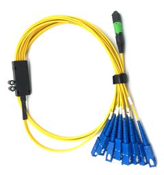MPO/MTP Harness Cable/Patch Cords