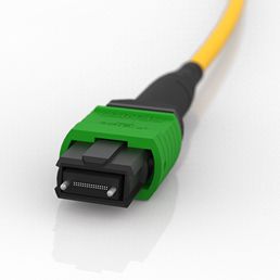 6,8,12,24 Fibers MPO/MTP Male OM4 50/125 EliteTrunk Cable,Magenta