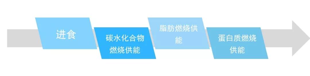 还不知道怎么开始生酮饮食?这里有最完整的生酮饮食教程分享 还不知道怎么开始生酮饮食?这里有最完整的生酮饮食教程分享