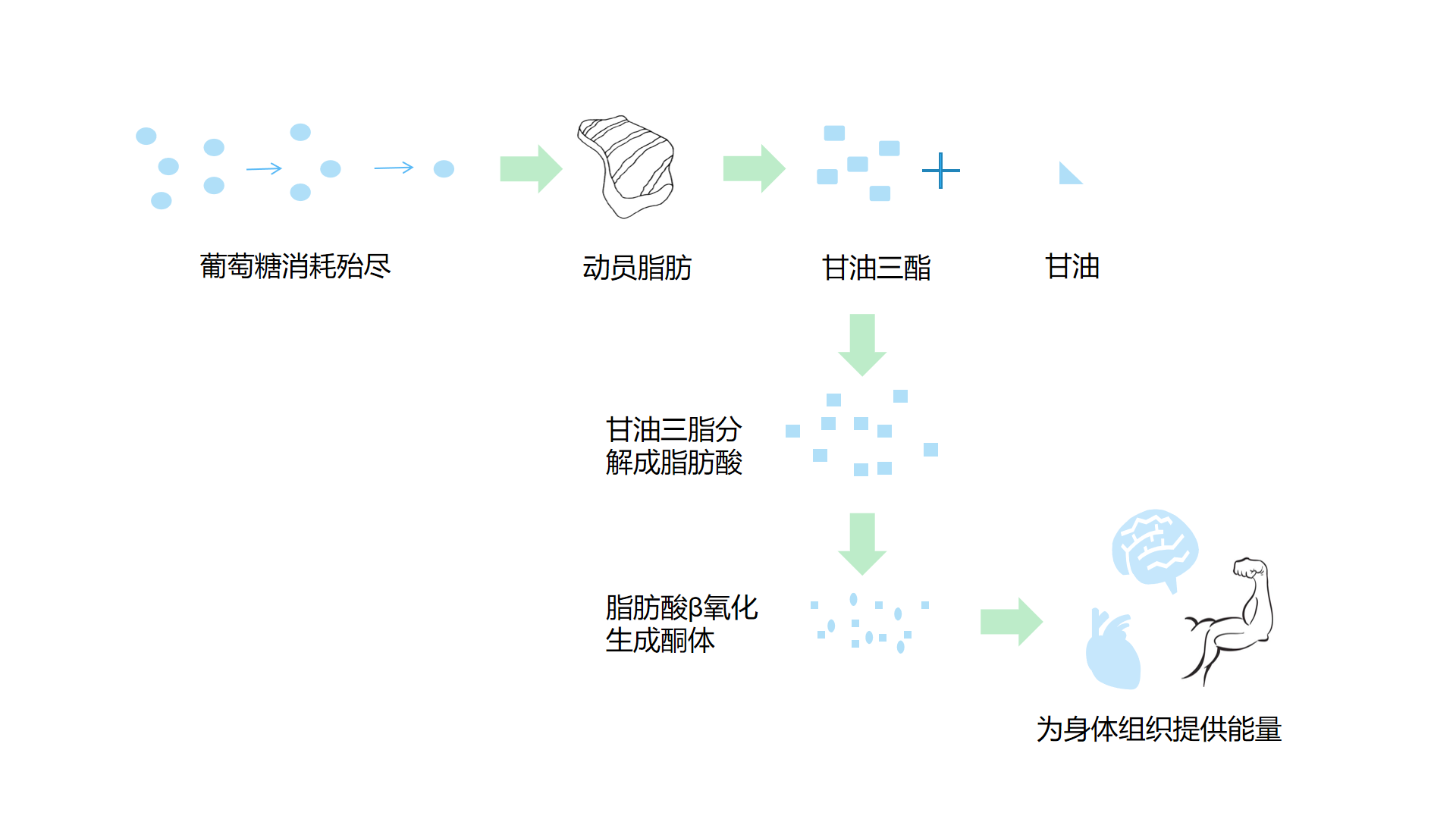 还不知道怎么开始生酮饮食?这里有最完整的生酮饮食教程分享 还不知道怎么开始生酮饮食?这里有最完整的生酮饮食教程分享