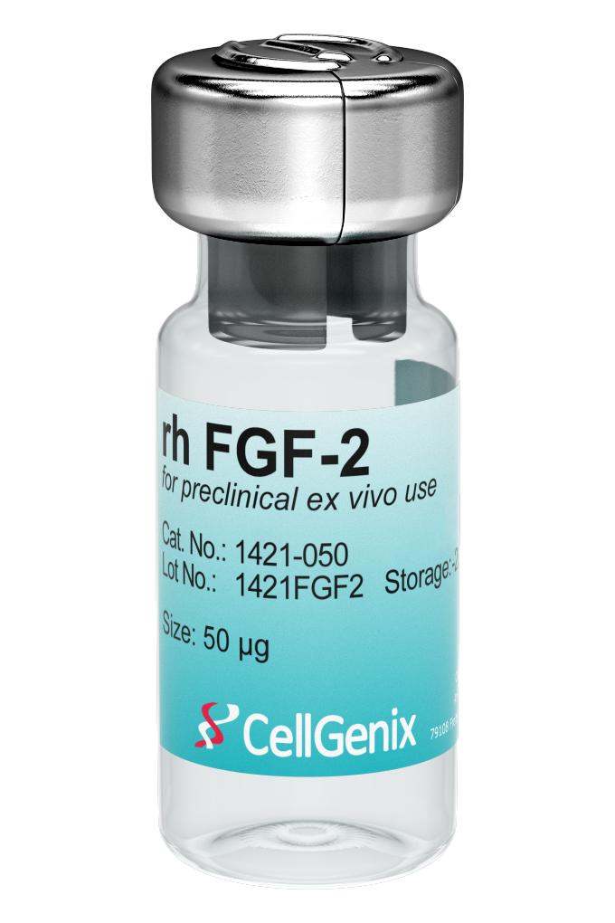 Preclinical rh FGF-2