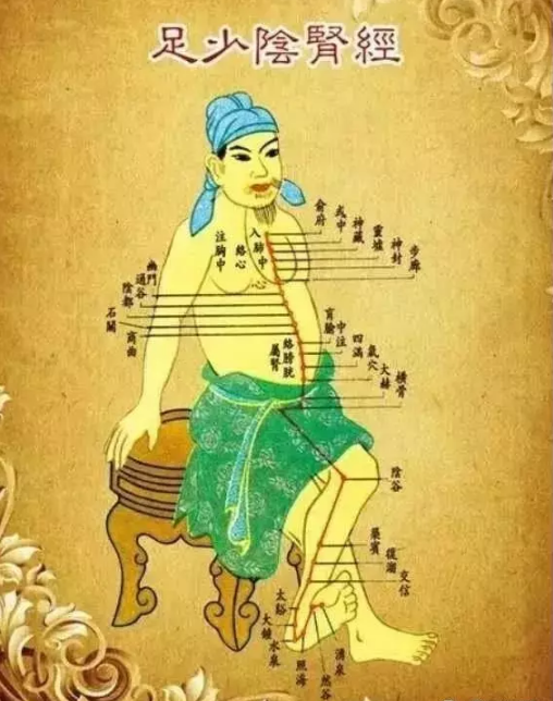 经络学说:肾经 经络学说:肾经