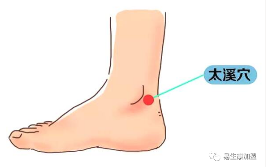经络学说:肾经 经络学说:肾经