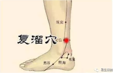 经络学说:肾经 经络学说:肾经