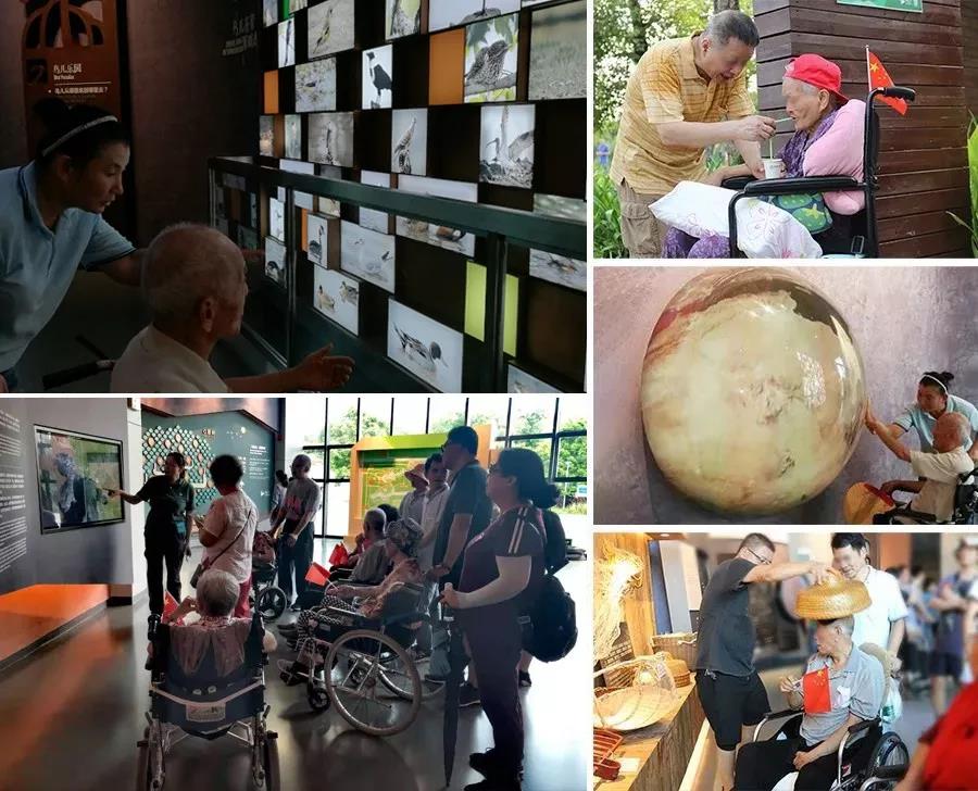 国寿社区合家欢 长者快乐游园 国寿社区合家欢 长者快乐游园