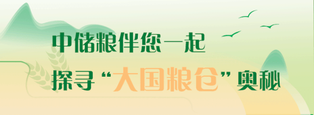 Weiton制氮助力中储粮“黑科技”