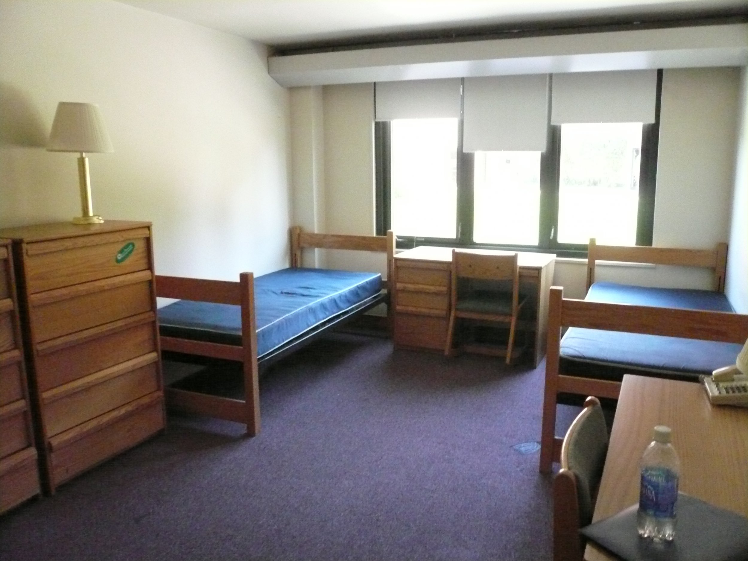 新西兰林肯大学宿舍图片