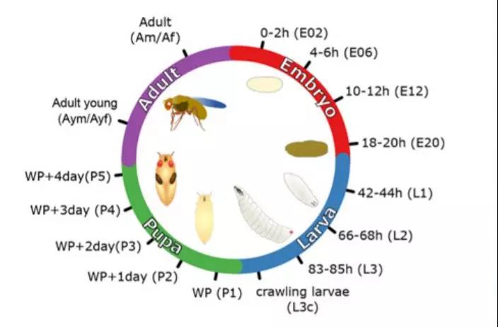 探索生命奥秘,生殖生物学与蛋白质组学的莫逆之交【景杰精选】第01期 探索生命奥秘,生殖生物学与蛋白质组学的莫逆之交【景杰精选】第01期