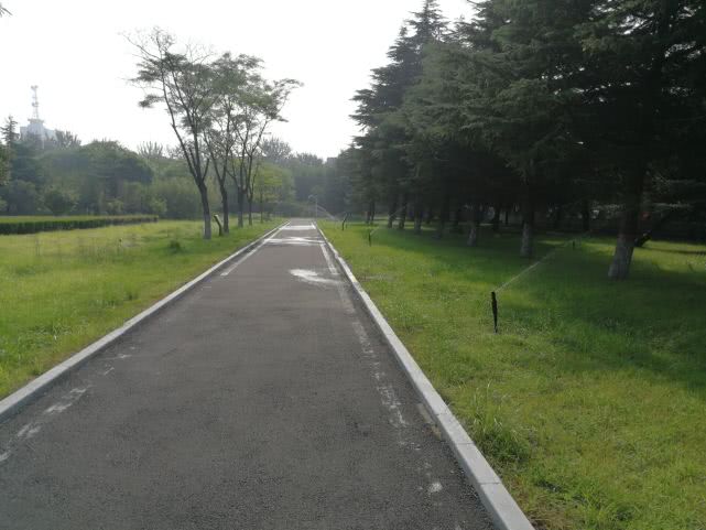 鹤壁通过海绵城市试点建设 雨水收集模块“大显身手” 鹤壁通过海绵城市试点建设 雨水收集模块“大显身手”
