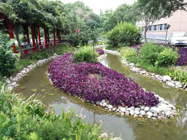 鹤壁通过海绵城市试点建设 雨水收集模块“大显身手” 鹤壁通过海绵城市试点建设 雨水收集模块“大显身手”