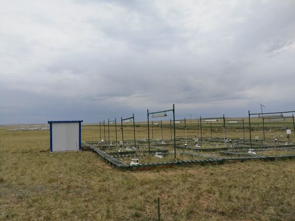 （UGGA）Inner Mongolia Agricultural University Siziwangqi Wild Station
