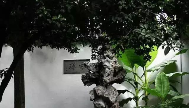  中式园林造景的经典植物-景观设计师必知