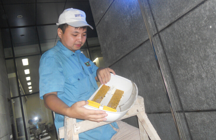 某工厂内——对灭虫灯进行检查 某工厂内——对灭虫灯进行检查