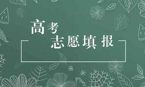 志愿填报需要考虑的一些因素 志愿填报需要考虑的一些因素