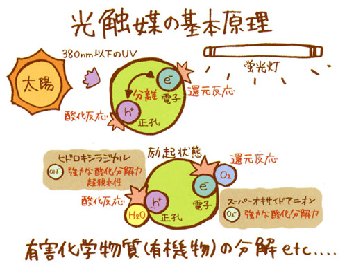 光触媒治理 光触媒治理