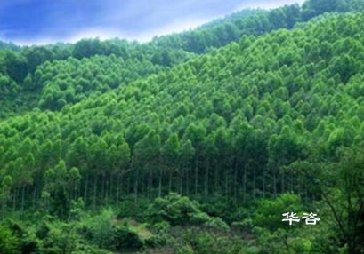 湖南省专业地形图测绘单位有哪些要点? 湖南省专业地形图测绘单位有哪些要点?