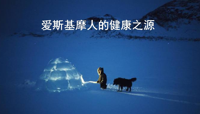 号外!号外!海洋礼物店庆日活动即将开始! 号外!号外!海洋礼物店庆日活动即将开始!