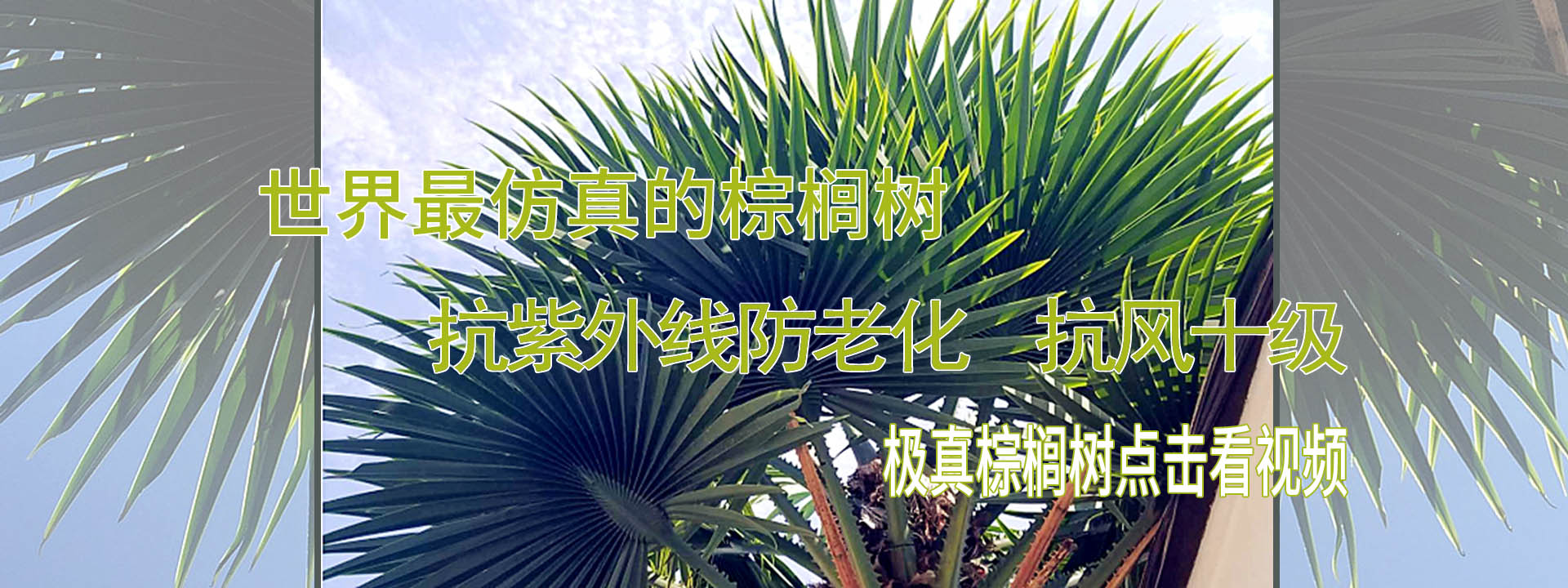 仿真椰子树 仿真棕榈树 仿真海枣树 北京棕榈树技术开发有限公司