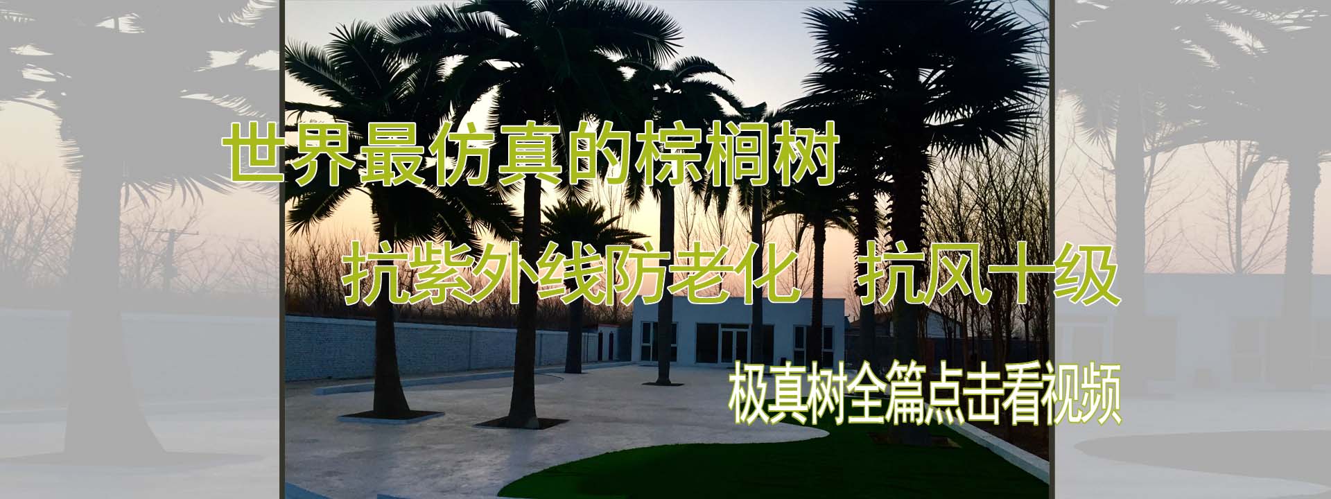 仿真椰子树 仿真棕榈树 仿真海枣树 北京棕榈树技术开发有限公司