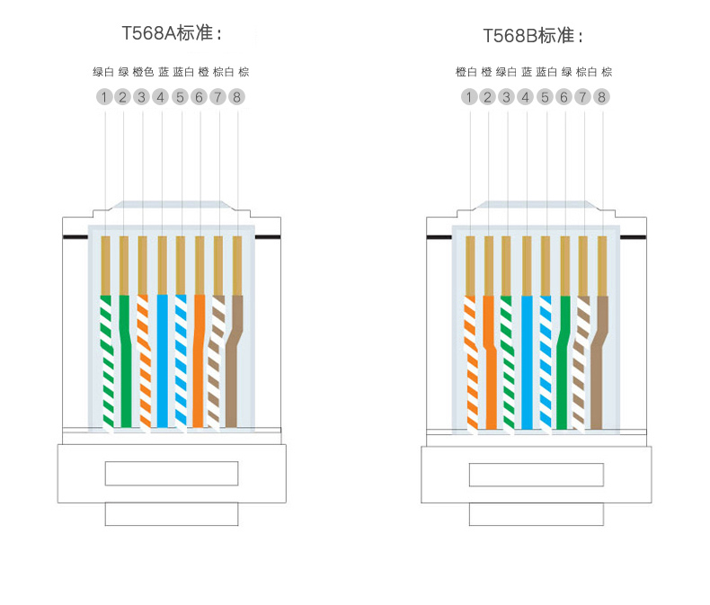 绿联NW110 超五类水晶头100个装RJ45网络水晶头