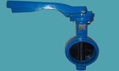 groove end butterfly valve