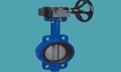 wafer butterfly valve