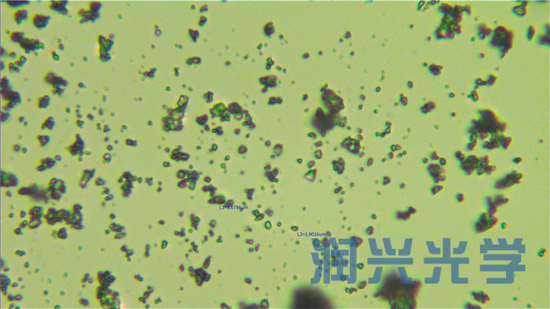 显微镜下颗粒粉末的照片