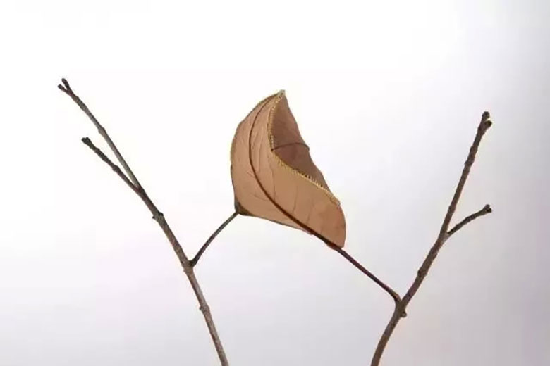 横扫初秋时尚圈的美甲款式,抢先体验! 横扫初秋时尚圈的美甲款式,抢先体验!