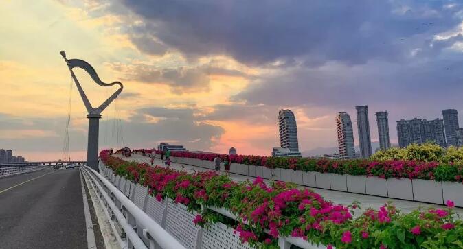 共庆祖国70华诞，城基生态助力厦门2019年市花展！！